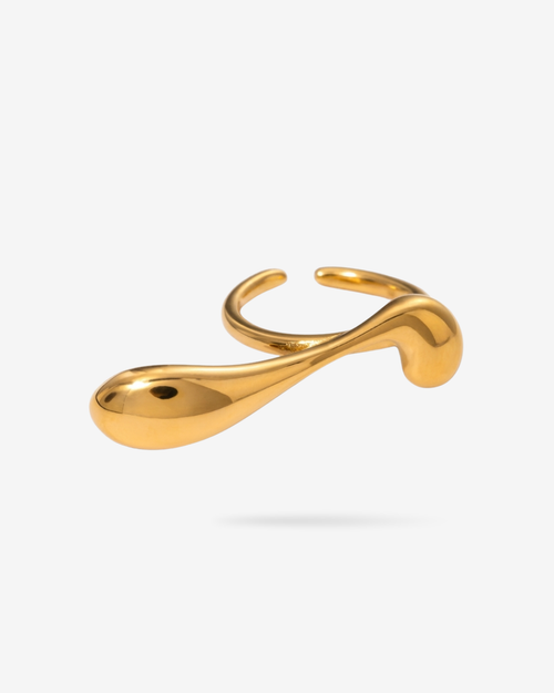 Anillo DESBORDE