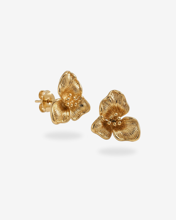 Aretes AFLORA